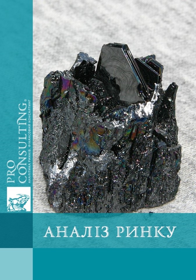 Аналіз ринку чистого карбіду кремнію Західної Європи. 2012 рік